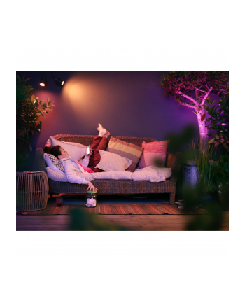 PHILIPS HUE White and color ambiance Lily czarny 1741430P7