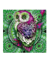 norimpex Mandala 7D Sowa na zielonej madali 30x30cm 1006571 - nr 1