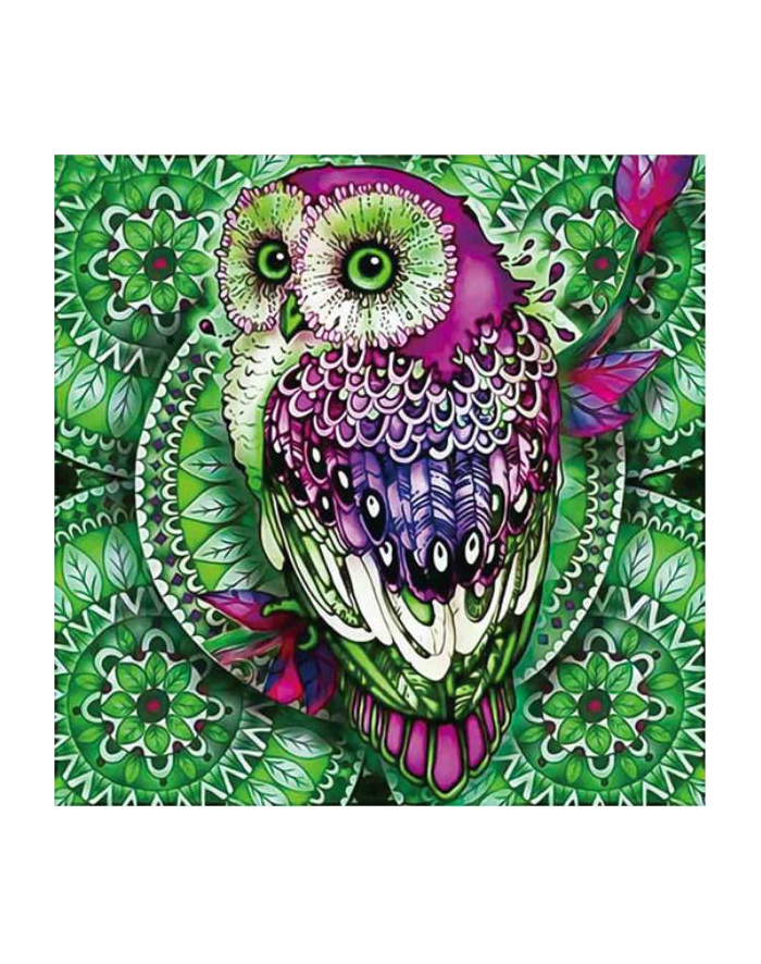 norimpex Mandala 7D Sowa na zielonej madali 30x30cm 1006571 główny