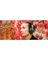 Muse Bluetooth Stereo Headphones M-278 On-ear, Wireless, Black (M278FB) - nr 23