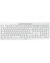 Cherry Desktop Stream Wireless DE Layout (G50) - wersja QWERTZ - nr 11
