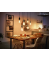 PHILIPS HUE White ambiance Filament 1 szt. G125 E27 - nr 2