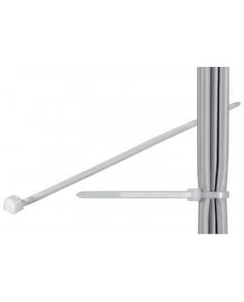 Wentronic KB 200 2.5 (100) (17061)