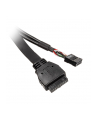 AKASA AKASA AKASA WEWNĘTRZNY KABEL ADAPTERA USB 3.1 GEN 1 Z DWOMA PORTAMI USB 2.0 TYPU A DARMOWA DOSTAWA (AKCBUB5340B (AKCBUB5340BK)  (AKCBUB5340BK) - nr 9