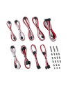 CableMod Zestaw Classic ModMesh z serii RT ASUS ROG / Seasonic - biały / czerwony - nr 1