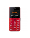 myPhone Halo Easy Czerwony - nr 1