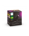 PHILIPS HUE White and color ambiance Lily czarny 1742830P7 - nr 36
