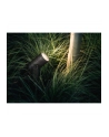 PHILIPS HUE White and color ambiance Lily czarny 1742830P7 - nr 41