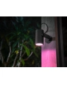 PHILIPS HUE White and color ambiance Lily czarny 1742830P7 - nr 45