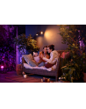 PHILIPS HUE White and color ambiance Lily czarny 1741430P7 - nr 16