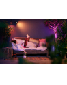PHILIPS HUE White and color ambiance Lily czarny 1741430P7 - nr 17