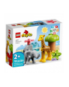 LEGO 10971 DUPLO Town Dzikie zwierzęta Afryki p4 - nr 11