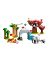 LEGO 10974 DUPLO Town Dzikie zwierzęta Azji p2 - nr 11