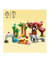 LEGO 10974 DUPLO Town Dzikie zwierzęta Azji p2 - nr 12