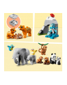 LEGO 10974 DUPLO Town Dzikie zwierzęta Azji p2 - nr 13