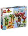 LEGO 10974 DUPLO Town Dzikie zwierzęta Azji p2 - nr 1