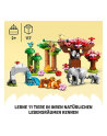 LEGO 10974 DUPLO Town Dzikie zwierzęta Azji p2 - nr 4