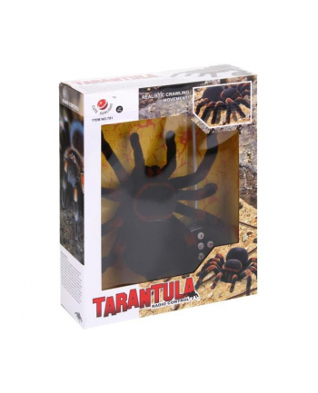 inni Pająk Tarantula zdlanie sterowany LED 6528398