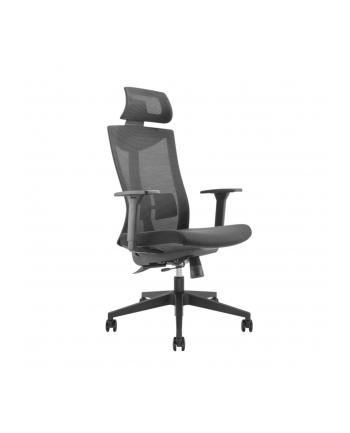 Ergo Office Krzesło Biurowe Ergonomiczne Premium Z Wysokim Oparciem Office Max 150Kg Er 414