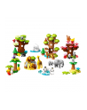LEGO 10975 DUPLO Town Dzikie zwierzęta świata p2 - nr 11