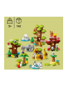 LEGO 10975 DUPLO Town Dzikie zwierzęta świata p2 - nr 12
