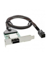 InLine SAS HD Low Profile Adapter Bracket zewn. SFF-8088 - wewn. SFF-8643 0.5m (27656A) - nr 2