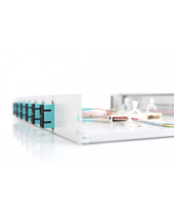 Digitus Professional Rozdzielacz światłowodu 6 Portów SC 1U (DN963203)