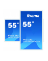 iiyama Monitor 55 cali TF5539UHSC-W1AG IPS,24/7,4K,IP54,500cd,7H,POJ.15p,LAN - nr 30