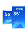 iiyama Monitor 55 cali TF5539UHSC-W1AG IPS,24/7,4K,IP54,500cd,7H,POJ.15p,LAN - nr 32