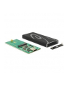 Delock Kieszeń USB3.1 (42572) - nr 2