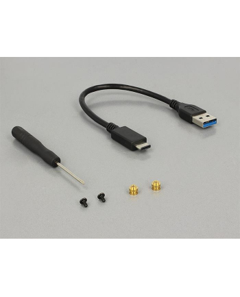 Delock Kieszeń USB3.1 (42572)
