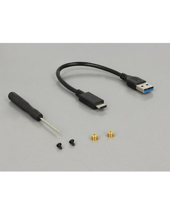 Delock Kieszeń USB3.1 (42572) główny