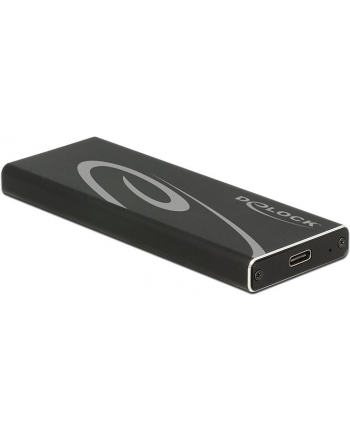 Delock Kieszeń USB3.1 (42573)