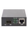 DIGITUS  PROFESSIONAL (DN82140) - nr 29