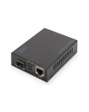 DIGITUS  PROFESSIONAL (DN82140) - nr 41