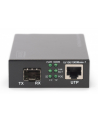DIGITUS  PROFESSIONAL (DN82140) - nr 43
