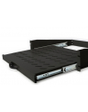 Digitus Professional Dn-19-Tray-2-450-Sw Extendible (DN19TRAY2450SW) - nr 2