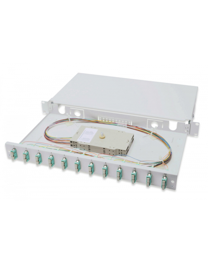 Digitus Professional Rozdzielacz światłowodu 12 Portów SC 1U (DN963213) główny
