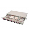 Digitus Professional Rozdzielacz światłowodu 24 Porty SC 1U (DN963224) - nr 2