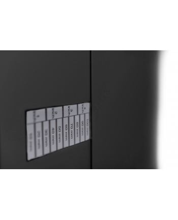 Digitus DN-19 PB-2U-SW