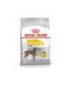 Royal Canin CCN Dermacomfort Maxi sucha pies 12kg - nr 1