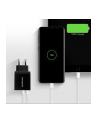 Axagon Ładowarka Quick i Smart 2x USB Port QC3.0/AFC/FCP + 5V-1.2A 24W (ACUQS24) - nr 13