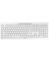Cherry Zestaw Stream Desktop Recharge Szary (Cherrystreamdesktoprecharge) - nr 19