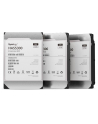 Synology Harddisk HAS5300 3.5 SAS 8 TB -• 8 TB (256 MB Cache - 7.200 U/min)• 3,5 Zoll (HAS53008T) - nr 4