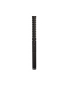 ROD-E NTG2 - Mikrofon shotgun - nr 3