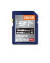 Integral Sdxc 256 GB UHS-I U3 C10 - nr 1