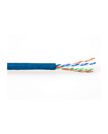 Intronics 305m Cat6 Cable (EP386B)