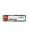 silicon power Dysk SSD A55 256GB M.2 560/530 MB/s - nr 10