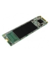 silicon power Dysk SSD A55 256GB M.2 560/530 MB/s - nr 8