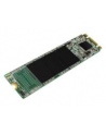 silicon power Dysk SSD A55 256GB M.2 560/530 MB/s - nr 9